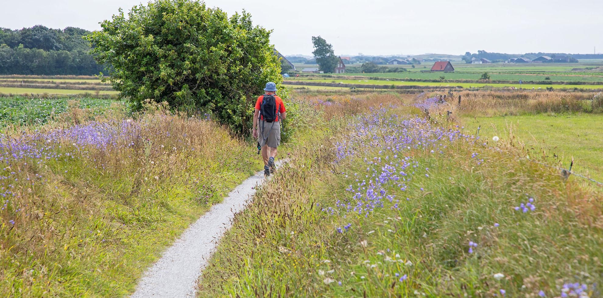 wandelen-op-texel